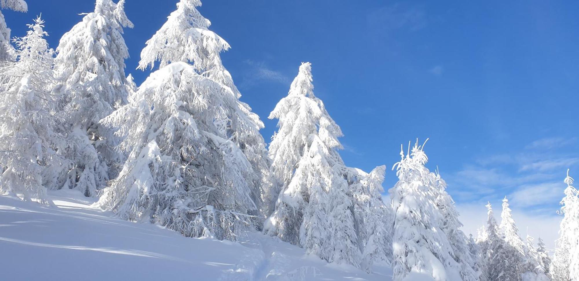 Hotel Sonnenheim Bad Kleinkirchheim Zewnętrze zdjęcie