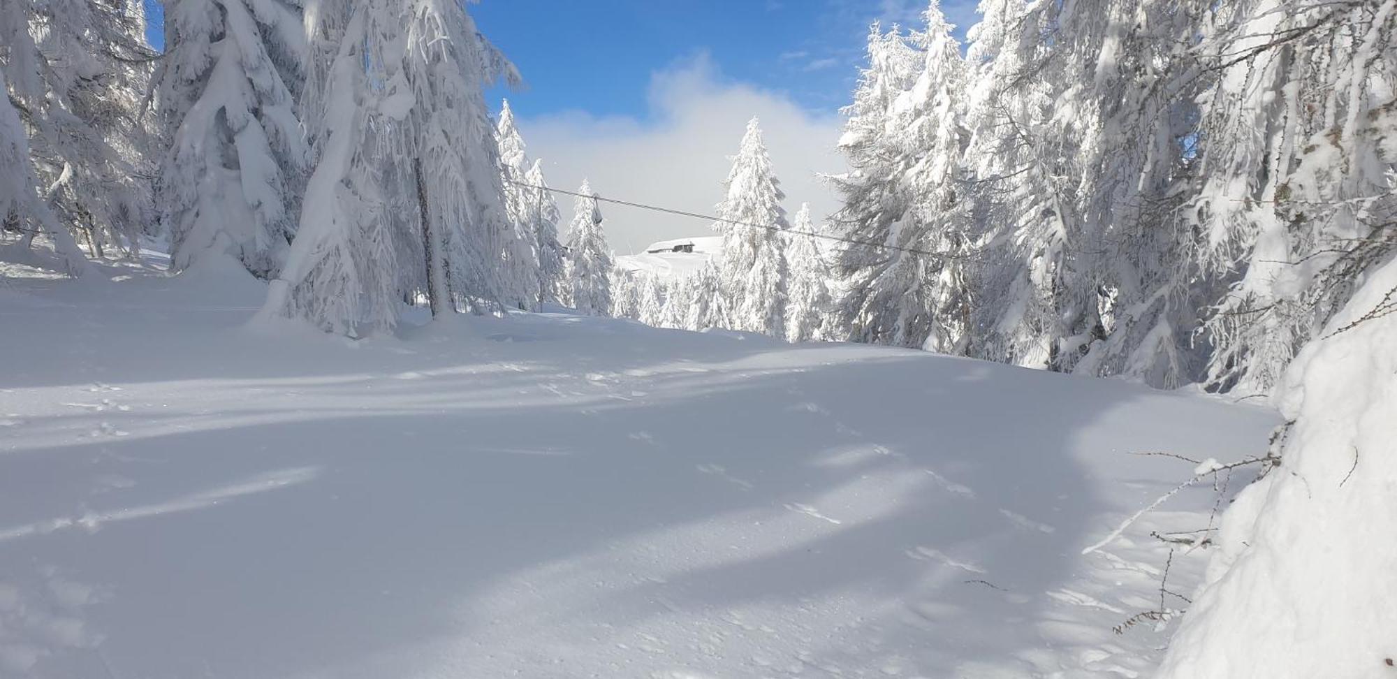 Hotel Sonnenheim Bad Kleinkirchheim Zewnętrze zdjęcie